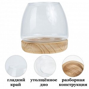 Стеклянная ваза с натуральным деревом, Аквариум, 15х10 см