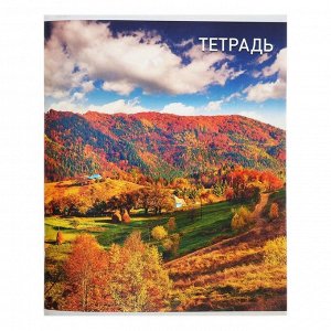 Тетрадь 96 листов, в клетку, Calligrata «Природа», серые листы, МИКС