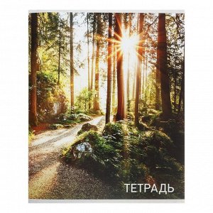 Тетрадь 96 листов, в клетку, Calligrata «Природа», серые листы, МИКС