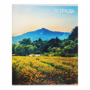 Тетрадь 96 листов, в клетку, Calligrata «Природа», серые листы, МИКС