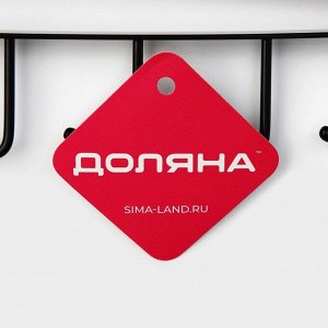 Держатель кухонный подвесной Доляна, на 6 предметов, 1.5x26x7 см, чёрный