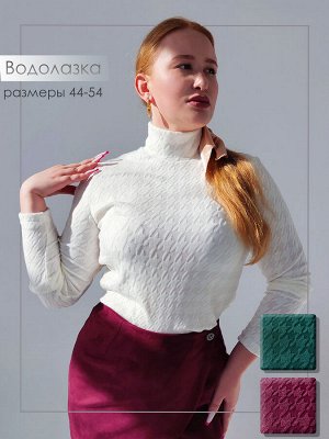 Водолазка 62023