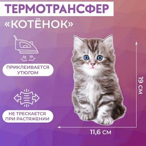 Термотрансфер «Котёнок», 11,6 * 19 см