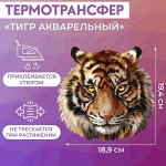 Термотрансфер «Тигр акварельный», 19,4 * 18,9 см