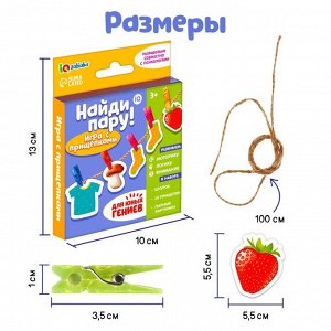 Развивающая игра «Найди пару!», по методике Монтессори, 10 прищепок, 20 картинок, шнурок, 3+