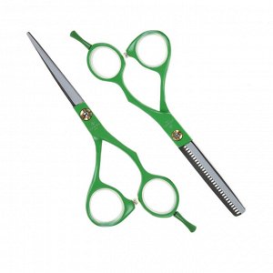Набор DEWAL из двух парикмахерских ножниц 5,5&quot; зеленого цвета в  чехле