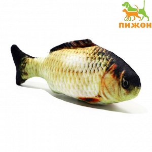 Игрушка "Рыба моей мечты!" с кошачьей мятой, сазан, 20 см   7626829