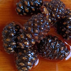 Варенье из Сосновой шишки