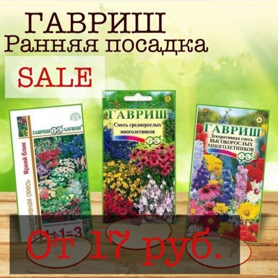 Распродажа семян! Гавриш - ранняя посадка