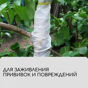 Лента для подвязки растений, 10?0.02 м, плотность 60 г/м?, набор 2 шт., спанбонд с УФ-стабилизатором, белая, Greengo, Эконом 20%