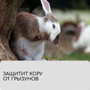 Лента для подвязки растений, 10?0.02 м, плотность 60 г/м?, набор 2 шт., спанбонд с УФ-стабилизатором, белая, Greengo, Эконом 20%