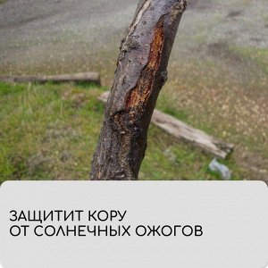 Лента для подвязки растений, 10?0.02 м, плотность 60 г/м?, набор 2 шт., спанбонд с УФ-стабилизатором, белая, Greengo, Эконом 20%