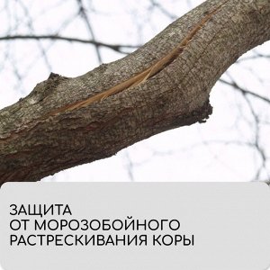 Лента для подвязки растений, 50 ? 0.02 м, плотность 60 г/м?, спанбонд с УФ-стабилизатором, белая, Greengo, Эконом 20%