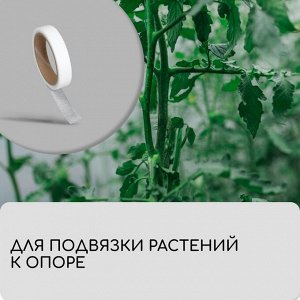 Лента для подвязки растений, 10 ? 0,02 м, плотность 60 г/м?, спанбонд с УФ-стабилизатором, белая, Greengo, Эконом 20%