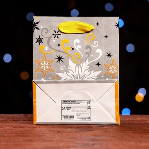 Пакет ламинированный «Праздничные чудеса» 11,5 х 14,5 х 6 см