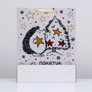 Пакет подарочный новогодний ламинированный вертикальный «Пакетик счастья»,33x42x10 см