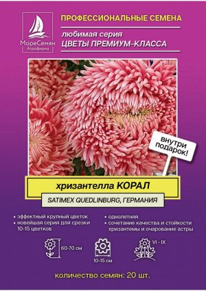 Хризантелла КОРАЛ Callistephus chinensis Living Coral
