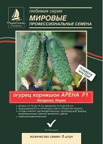 Огурец АРЕНА F1 (АРТИКА) (JSeeds Nongwoo Bio)