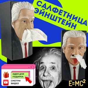 Салфетница Эйнштейн