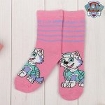 Щенячий патруль. Носки детские PAW PATROL &quot;Эверест&quot;16-18 см, 4-6 лет, 80% хл.,17% п/а, 3% эл.
