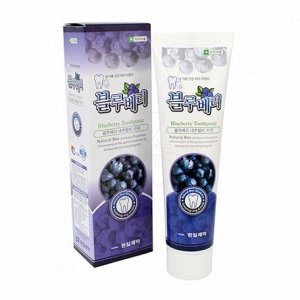 Hanil Natural A Blueberry Toothpaste - Зубная паста с натуральным экстрактом голубики 180гр