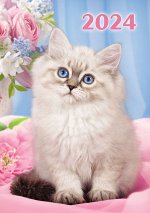 Карманный календарь 2024 &quot;Кошка&quot;