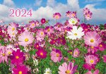 Карманный календарь 2024 &quot;Полевые цветы&quot;