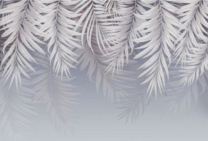 3D Фотообои «Туманные ветви».