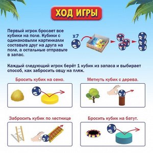 Настольная игра «Бешеный полёт»