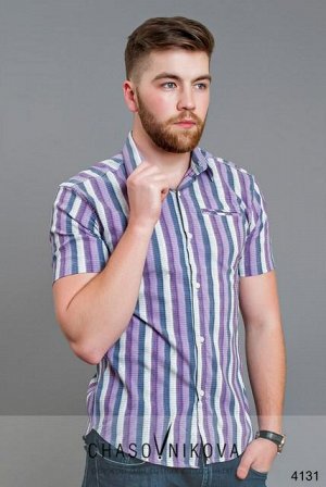 Мужская рубашка короткий рукав Бенедикт полоска сиреневый