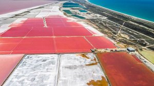 Крымская морская соль садочная пищевая зерновая , 1кг