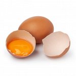Сухое яйцо и яичный белок