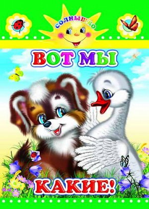 Вот мы какие!