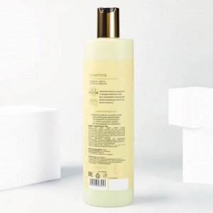 URAL LAB, шампунь для волос, защита цвета и блеск волос, 410 мл