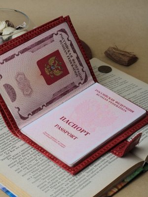 ВП-40 Пулл-апКрасный Обложка для паспорта и автодокументов