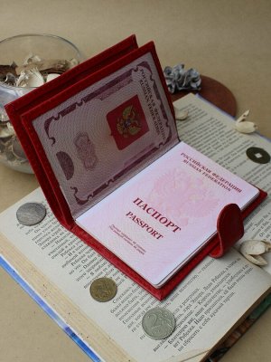 ВП-40 ОрфейКрасный Обложка для паспорта и автодокументов