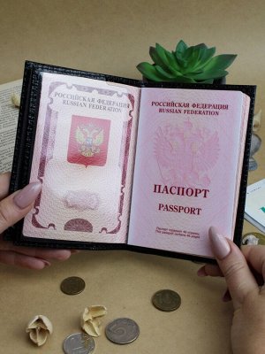 ВП-41 ЯщерицаЧерный Обложка для паспорта и автодокументов