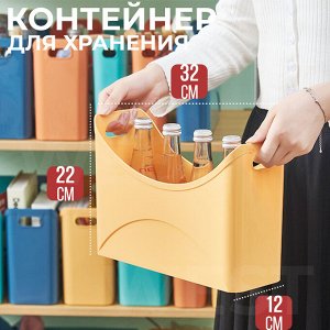 Контейнер для хранения / 32.8 x 12 x 22 см