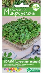 Семена на Микрозелень Бораго (огуречная трава) (2 гр)