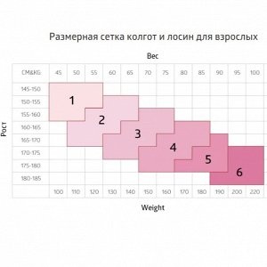 Размерная сетка