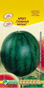 Арбуз САХАРНЫЙ МАЛЫШ (10 шт)