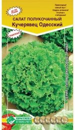 Салат полукочанный КУЧЕРЯВЕЦ ОДЕССКИЙ(1 гр)