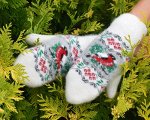 Варежки валяные женские (длина всей варежки 24-26 см)