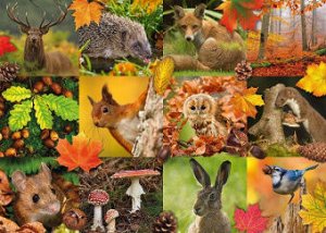 Пазлы 1000 Лесные животные осенью