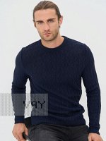 Джемпер мужской 5232-12149 8800550 т.синий