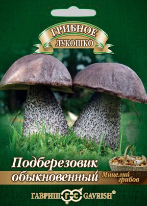Подберезовик на зерновом субстрате, больш. пак. 15 мл