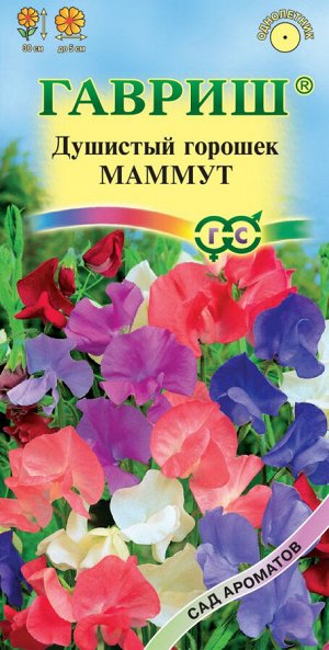 Семена Гавриш Чина душистый горошек Маммут, смесь 0,5 г серия Сад ароматов