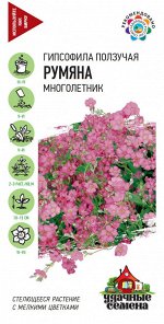 Гипсофила ползучая, Румяна* 0,05 г Уд. с.