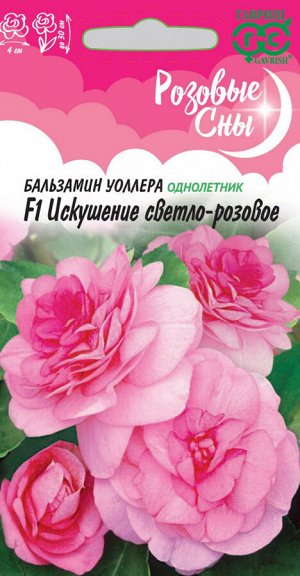 Бальзамин Искушение светло-розовое F1 (Уоллера)* 4 шт. серия Розовые сны