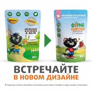 Влажный корм Ферма кота Фёдора нежные кусочки в желе с индейкой для котят 85г